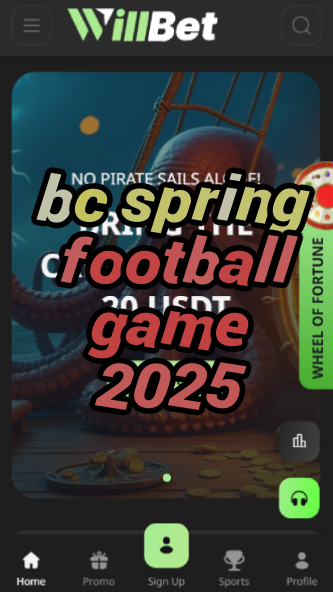 BC Spring Football Game 2025 - Preview-vz72fvrf.com